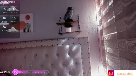 Snapshot of atenea_klett_ chatting on 06-22-26, 02:14 ATENEA online show from 06-22-26, 02:14