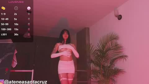 Snapshot of ateneasantacruz chatting on 01-14-25, 02:19 Atenea  online show from 01-14-25, 02:19