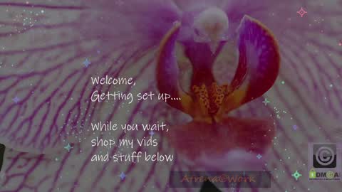 Atrena online show from 04-14-26, 02:39