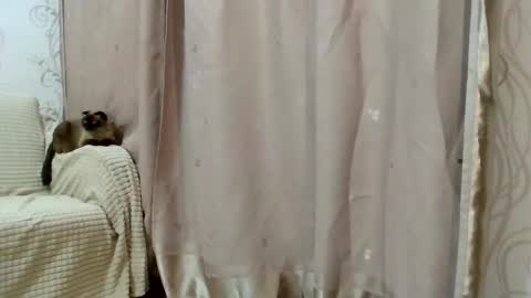 Kiara Xanthe online show from 02-25-26, 02:48