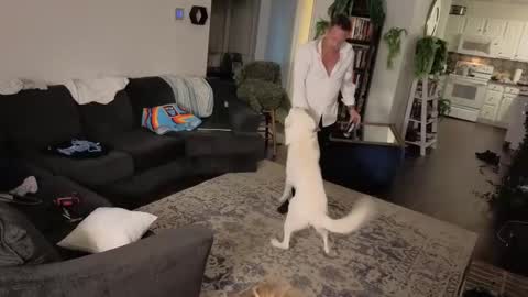 Aurora and Orion online show from 10-16-25, 11:28