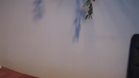 Snapshot of awesome86m chatting on 05-19-26, 07:20 PiPa online show from 05-19-26, 07:20
