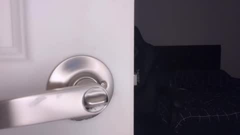 Snapshot of ayacolada chatting on 03-07-26, 08:00 Aya online show from 03-07-26, 08:00