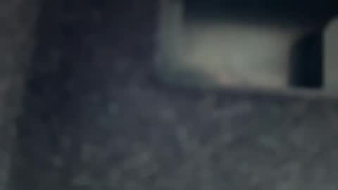 Snapshot of aymax95 chatting on 11-17-25, 11:38 AYBOY online show from 11-17-25, 11:38