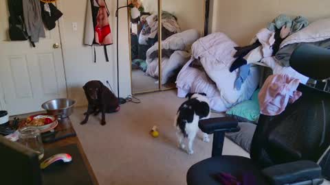 b1gbanana online show from 03-13-26, 07:09