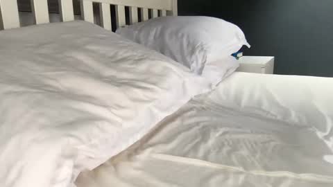 Snapshot of b1gd0ng1111 chatting on 09-17-25, 09:44 b1gd0ng1111 online show from 09-17-25, 09:44