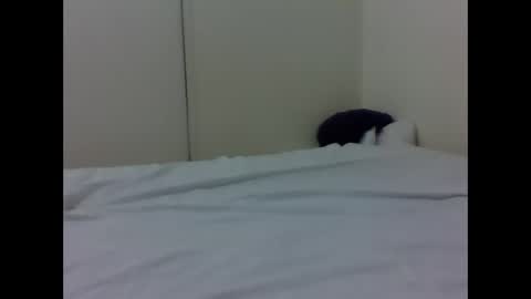 needoh online show from 04-26-26, 04:37