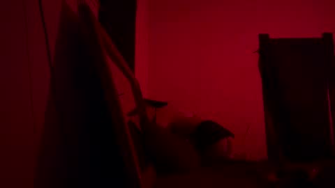 Snapshot of babyboox1 chatting on 02-25-25, 07:52 yasmin blake online show from 02-25-25, 07:52
