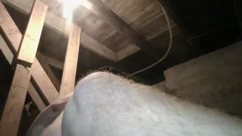 babyxxxangel online show from 09-20-25, 09:43