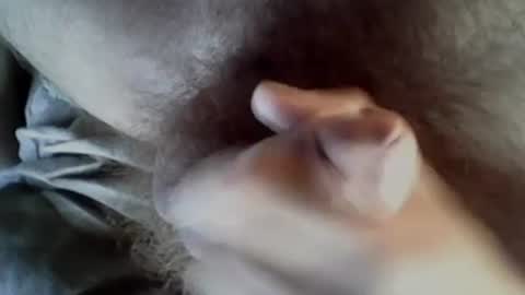 Snapshot of baghiraa chatting on 09-27-25, 08:30 Baghira online show from 09-27-25, 08:30