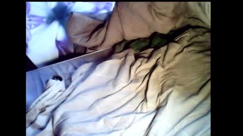 Baghira online show from 02-22-26, 12:15