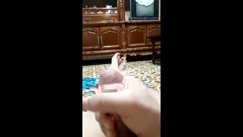 bahaa5555 online show from 02-12-26, 04:18