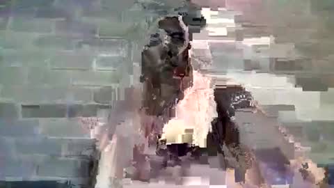 Snapshot of baielekker81578 chatting on 01-10-25, 11:54 Chaterlain online show from 01-10-25, 11:54