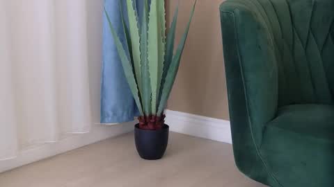 bailey_rush online show from 12-03-25, 04:49