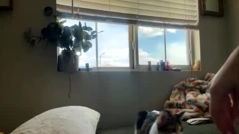 Bambi online show from 05-05-26, 10:07