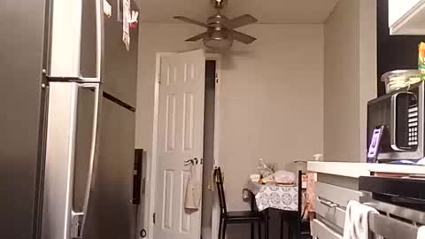 bambihasit online show from 10-25-25, 01:24