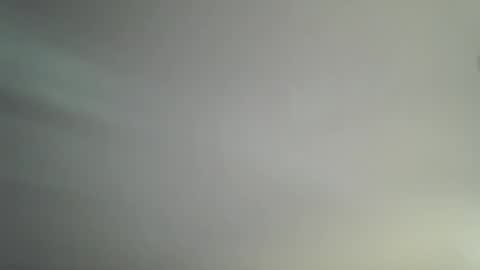 Bambi online show from 04-14-26, 11:16