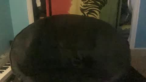 Snapshot of bananaboy420720 chatting on 09-16-25, 06:14 bananaboy420720 online show from 09-16-25, 06:14