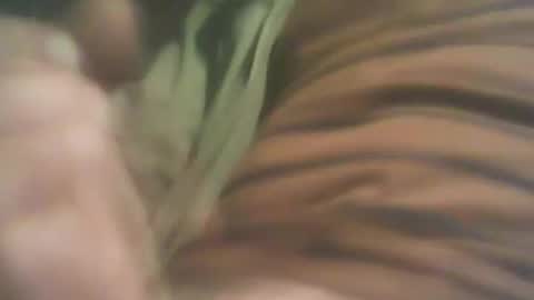 bandapart online show from 09-08-25, 05:01