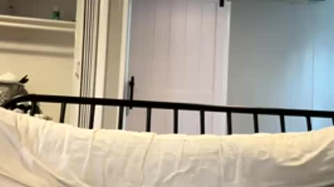 Tsbaby301 online show from 03-02-26, 06:59