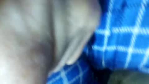 Snapshot of barbitall chatting on 11-15-25, 03:08 barbitall online show from 11-15-25, 03:08