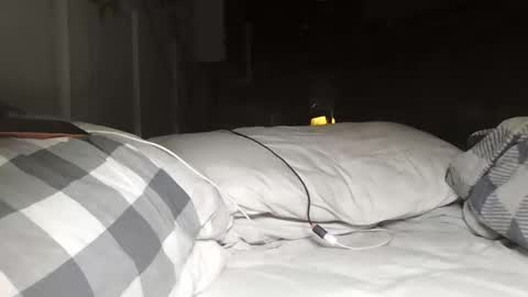 Snapshot of barkeeemark chatting on 03-24-26, 04:28 nevametafreaklikemeb4 online show from 03-24-26, 04:28