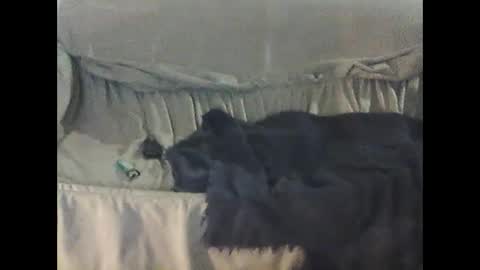 barrysand online show from 09-23-25, 02:14