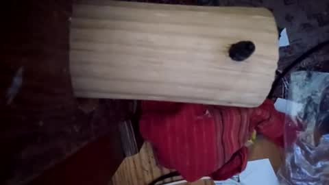 bartender3127 online show from 12-06-24, 03:33