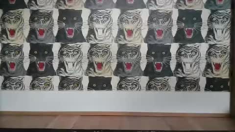 Bas online show from 03-06-25, 04:07