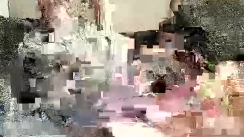 Snapshot of batman3991 chatting on 01-02-25, 12:02 Batman online show from 01-02-25, 12:02