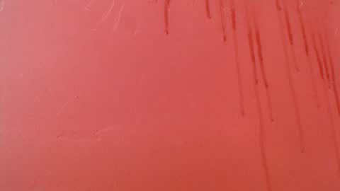 bayonette_black online show from 11-08-25, 09:13