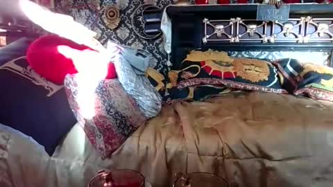 Snapshot of bazzasworld chatting on 11-01-25, 07:32 Bazza online show from 11-01-25, 07:32