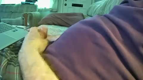 bcema2 online show from 09-26-25, 05:28