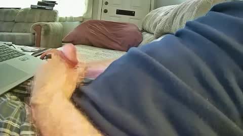 bcema2 online show from 10-08-25, 06:49