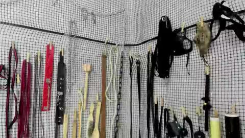 Meduza  online show from 02-20-26, 06:26