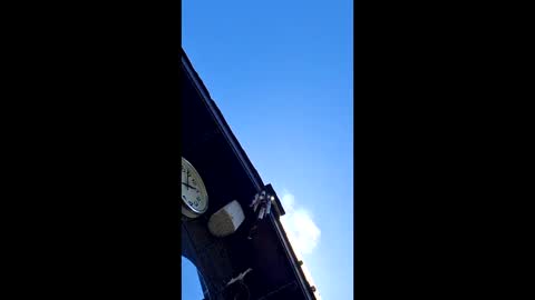 bdsmformistress online show from 06-10-26, 12:26