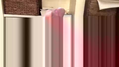 BeachGuy online show from 11-18-25, 04:44