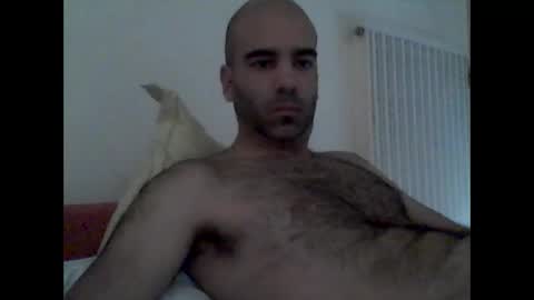 Snapshot of bear14250949 chatting on 10-19-25, 09:10 bear14250949 online show from 10-19-25, 09:10