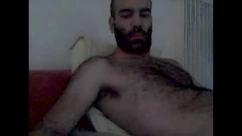 Snapshot of bear14250949 chatting on 11-01-25, 08:05 bear14250949 online show from 11-01-25, 08:05