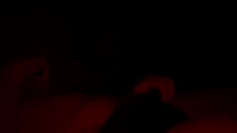 beatbeatbeatitupup online show from 02-22-26, 07:51