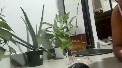 bebesita online show from 04-11-26, 02:27