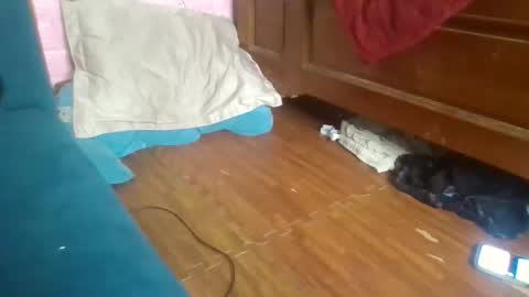 beebaby_xx online show from 11-16-25, 03:39