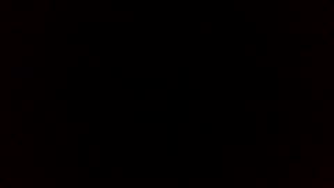 beef_sperm online show from 02-14-26, 11:51