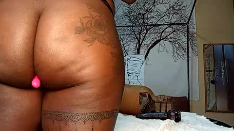 beencee2 online show from 11-06-25, 03:18