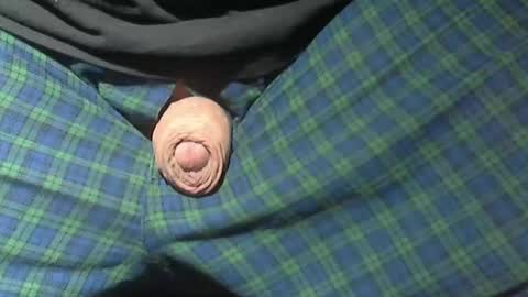  Reservoir Dogs online show from 02-15-26, 02:52