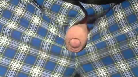  Reservoir Dogs online show from 02-19-26, 11:28