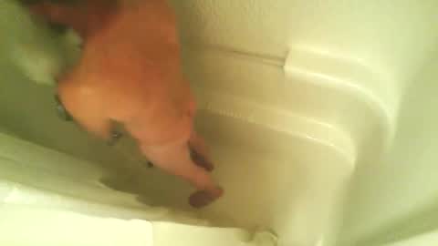 begme88 online show from 04-07-26, 04:24