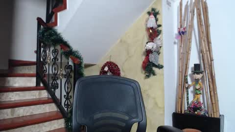 Snapshot of belamiramil chatting on 11-29-25, 11:19 independent model online show from 11-29-25, 11:19