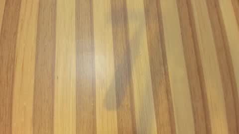 Melanie  online show from 03-06-26, 10:34