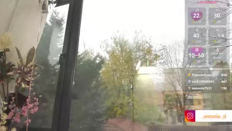 bella_posh online show from 11-27-25, 06:15